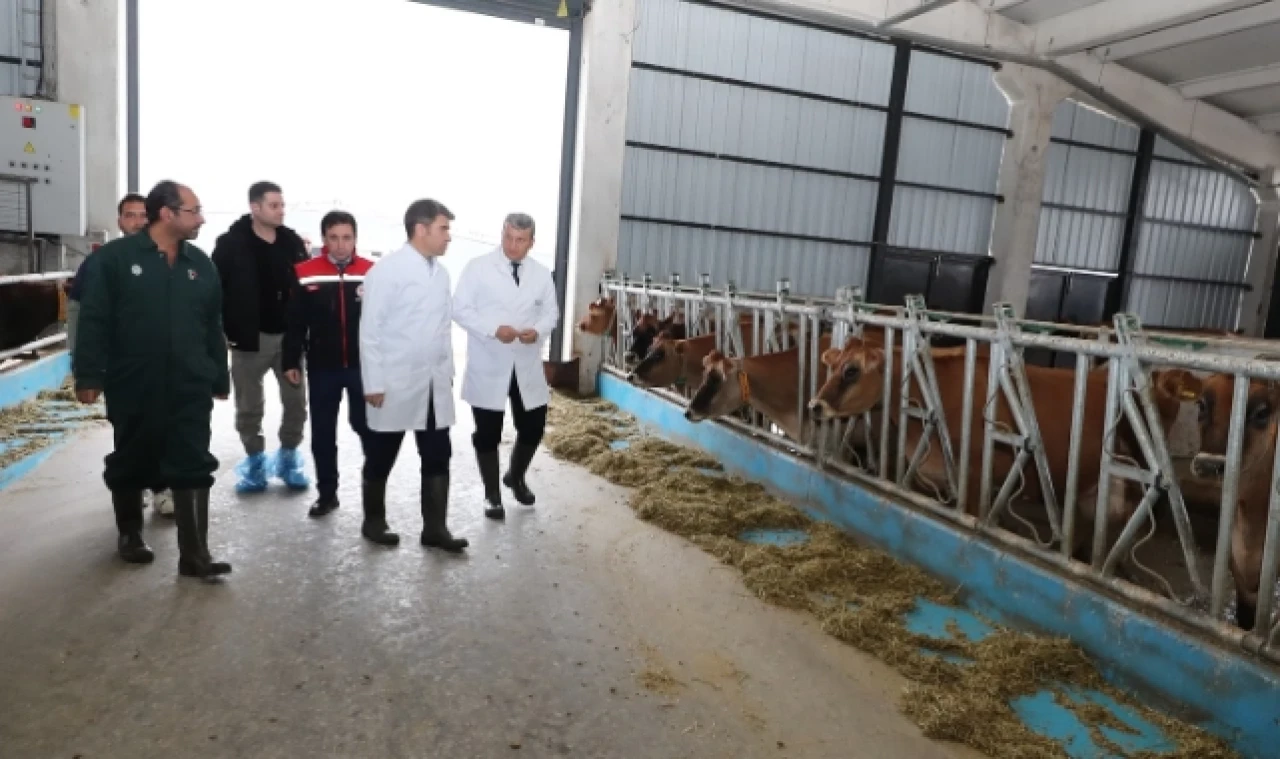 Bakan Gökhöyük Tarım İşletmesi Müdürlüğü'nde incelemede bulundu